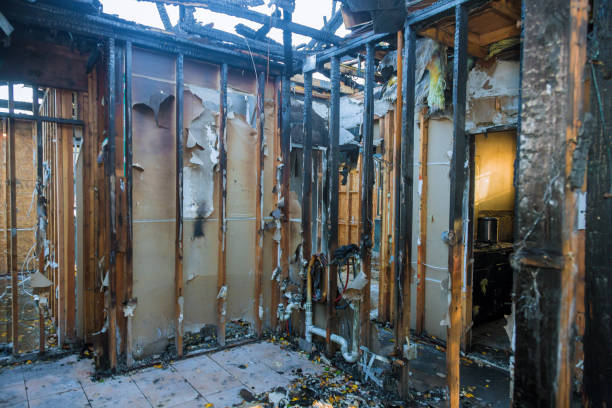 Professional Fire Damage Removal technician working in Winter Springs, FL