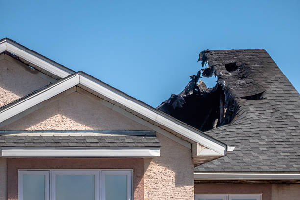 Top rated local Fire Damage Removal specialists in Winter Springs, FL